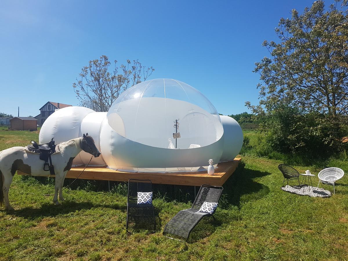 Coachella Konuk evi Lanouaille Dış mekan fotoğraf