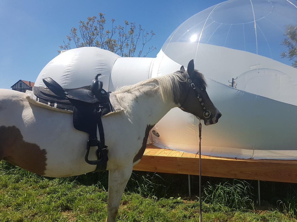 Coachella Konuk evi Lanouaille Dış mekan fotoğraf